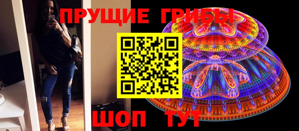 Галлюциногенные грибы GOLDEN TEACHER  Вход с VPN  Надым 