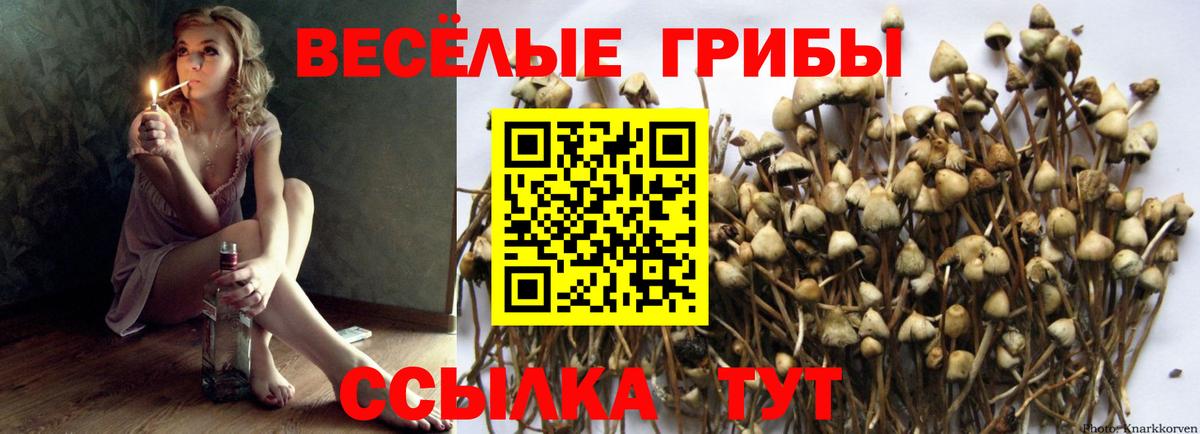 Псилоцибиновые грибы Magic Shrooms Надым
